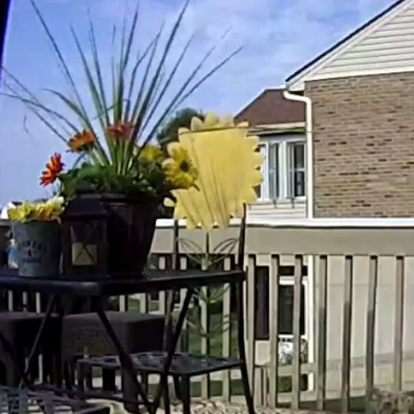 Special Curation, Heavy or Fragile Shipping/Handling - Picture 3 of 4